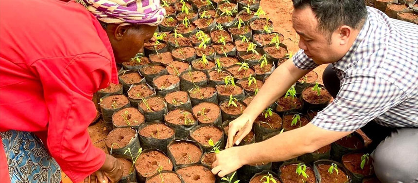 Forestry project in Kenya