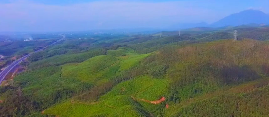 Quang Ha Forestry
