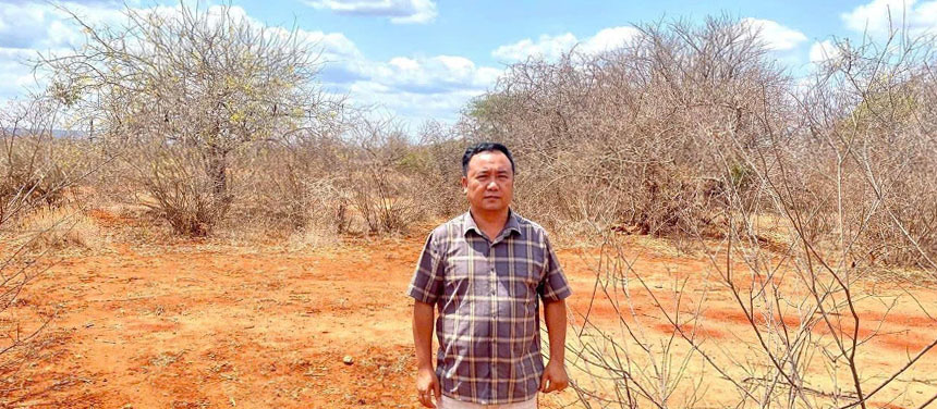 Forestry project in Uganda