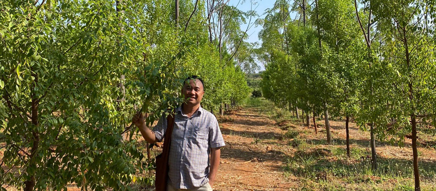 Forestry project in Uganda