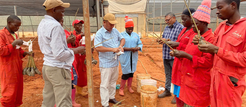 Forestry project in Uganda