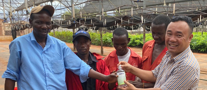 Forestry project in Uganda